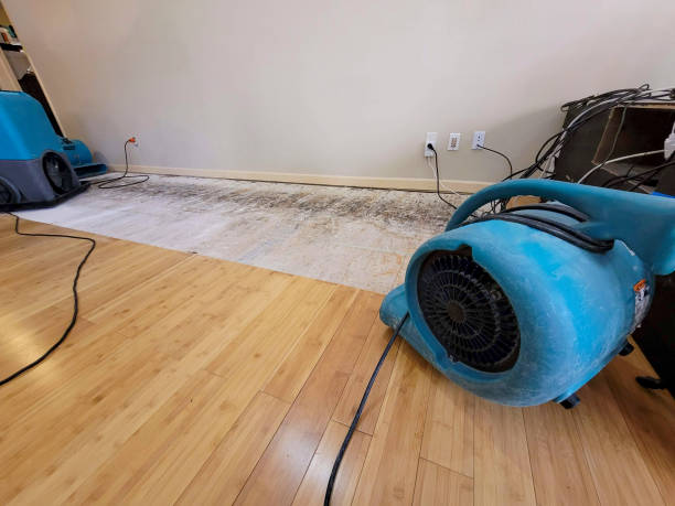Professional Ceiling Water Damage Repair technician working in Avalon, NJ